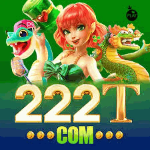 222T Logo